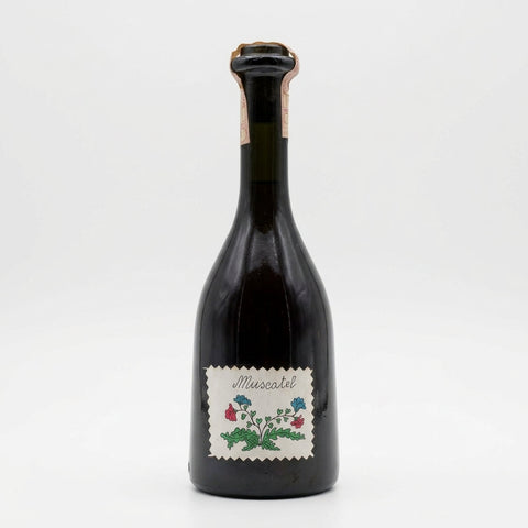 Muscatel Castiglione Tinella Icardi 1990 – Flasche